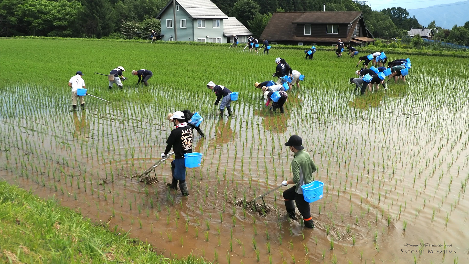 環境への取り組み